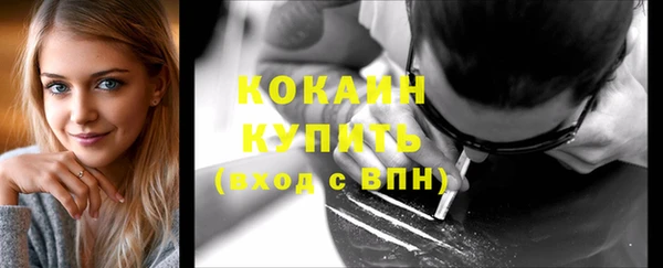 индика Аркадак
