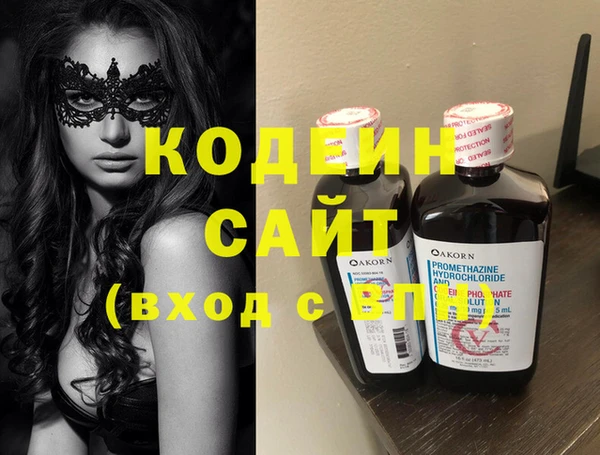 индика Аркадак