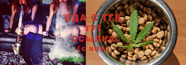 индика Аркадак