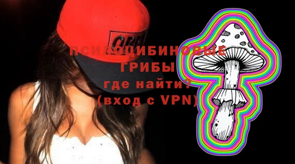 индика Аркадак