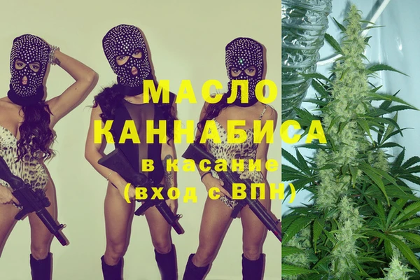 индика Аркадак