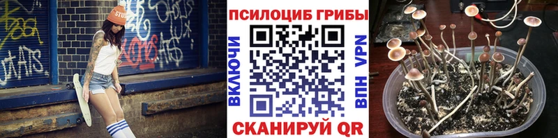 Псилоцибиновые грибы ЛСД  Добрянка 